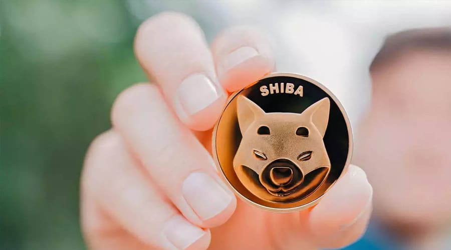 Shiba coin