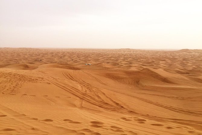 Dubais Desert